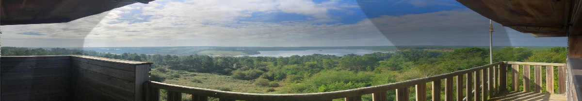 Hôtel du Lac Arjuzanx - Vue observatoire